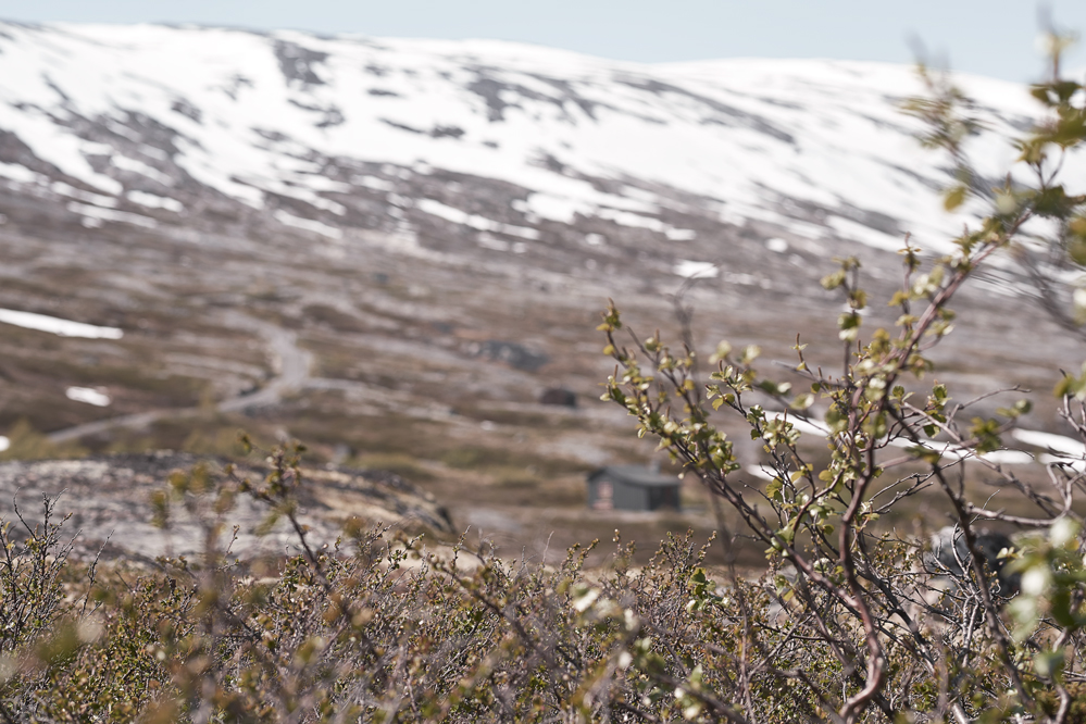 Norwegen2015_01